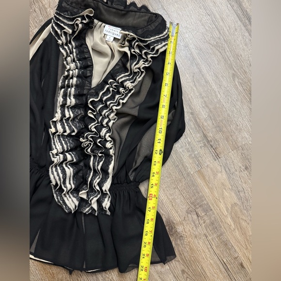Robert Rodriguez • Neiman Marcus • Target • Victorian Ruffle Blouse - Picture 5 of 13